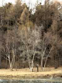 淨月潭：在冷杉林與月亮之間豢養一汪液態翡翠