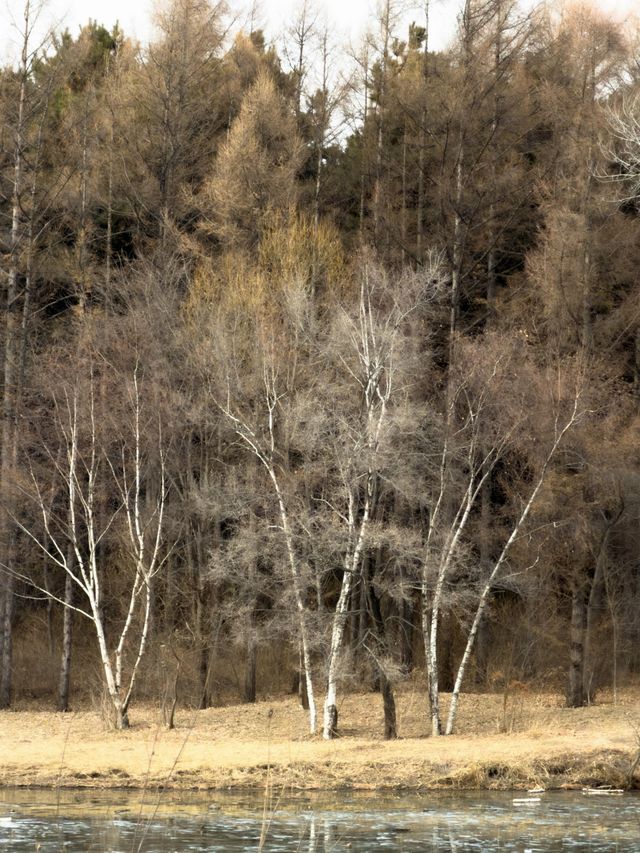 淨月潭：在冷杉林與月亮之間豢養一汪液態翡翠