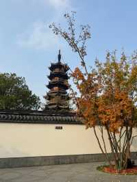 龍華寺的銀杏葉黃啦