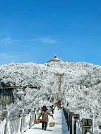 2. 拒絕繞路!張家界國家森林公園+天門山環線,新手也能衝