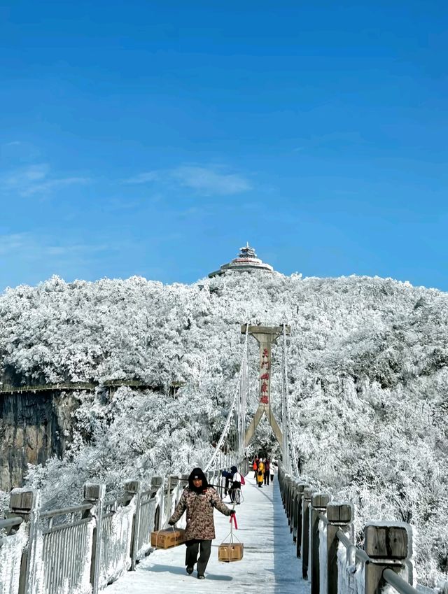 2. 拒絕繞路!張家界國家森林公園+天門山環線,新手也能衝 2. 拒絕繞路!張家界國家森林公園+天門山環線,新手也能衝