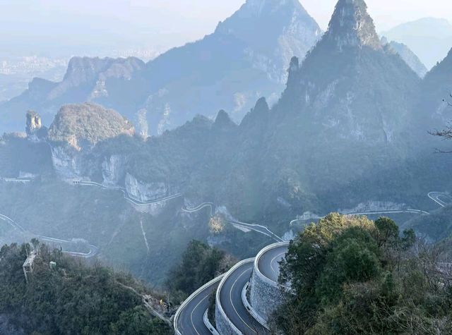 2. 拒絕繞路!張家界國家森林公園+天門山環線,新手也能衝 2. 拒絕繞路!張家界國家森林公園+天門山環線,新手也能衝