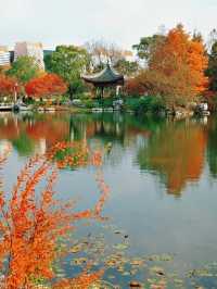 上海世博文化公園裡隱藏的寶藏園林!申園也太仙了叭~