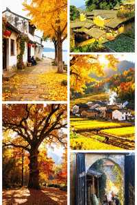 秋色限定江浙滬8個絕美古村落，避開人潮賞秋攻略