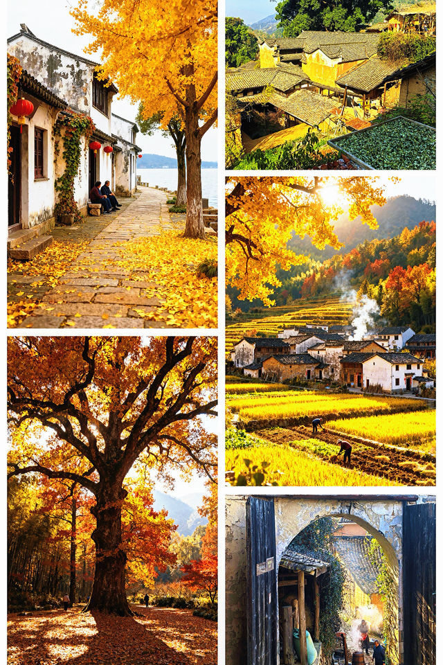 秋色限定江浙滬8個絕美古村落，避開人潮賞秋攻略