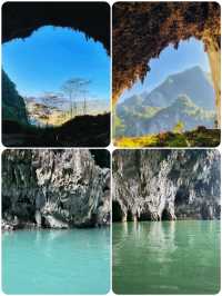 天窗花河｜闖入會開花的水下森林