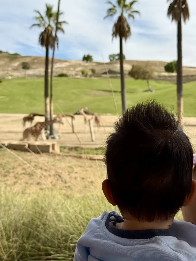 感恩節三天非特種兵帶娃San Diego遊推薦 感恩節三天非特種兵帶娃San Diego遊推薦