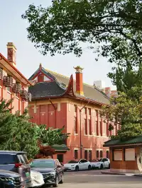 11.27這裡的絕美百年銀杏與梧桐沒人拍，快衝