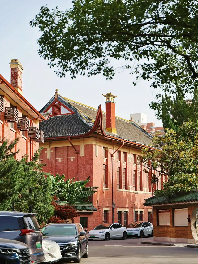 11.27這裡的絕美百年銀杏與梧桐沒人拍，快衝