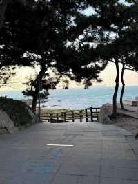 青島冬日Seawalk新路線太平角公園拍照攻略Get!