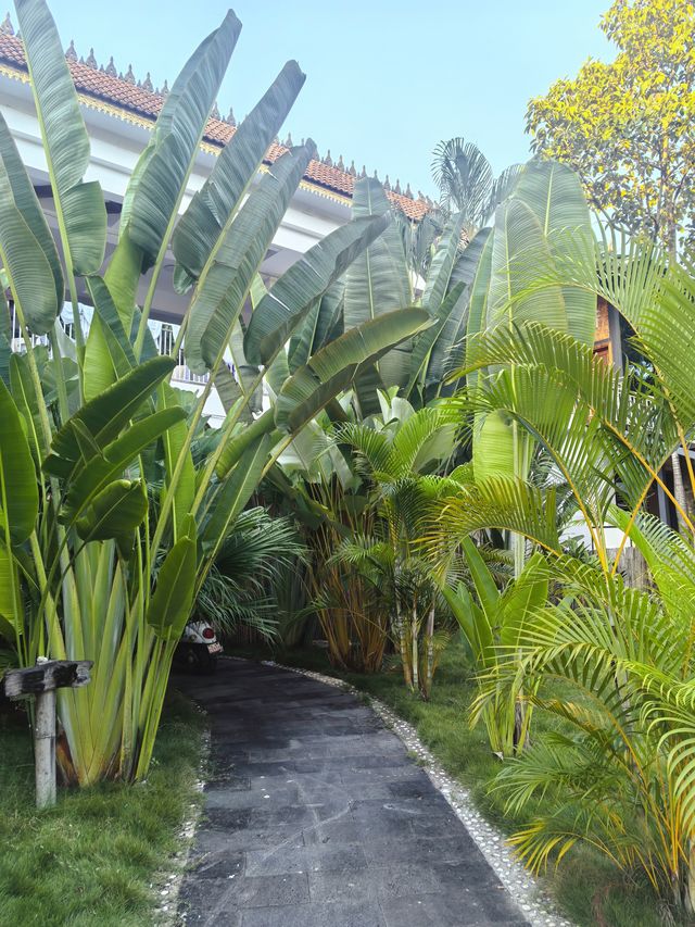 從景邁到西雙版納的姊妹遊 從景邁到西雙版納的姊妹遊