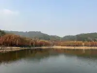 12.1實況live紹興鳳凰山美翻了!!!!!!