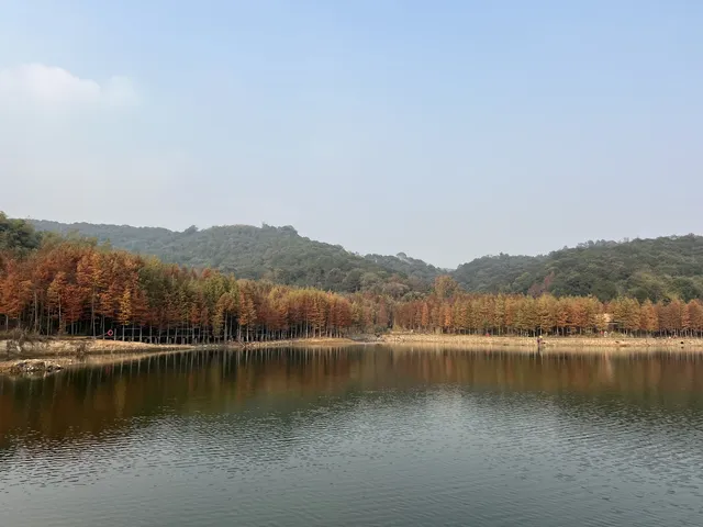 12.1實況live紹興鳳凰山美翻了!!!!!! 12.1實況live紹興鳳凰山美翻了!!!!!!