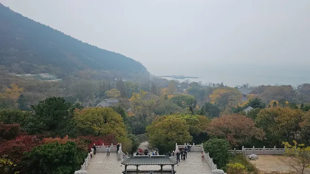 崂山太清線|一日遊攻略 & 吸貓聖地 崂山太清線|一日遊攻略 & 吸貓聖地