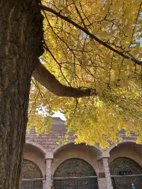 德陽｜石刻公園