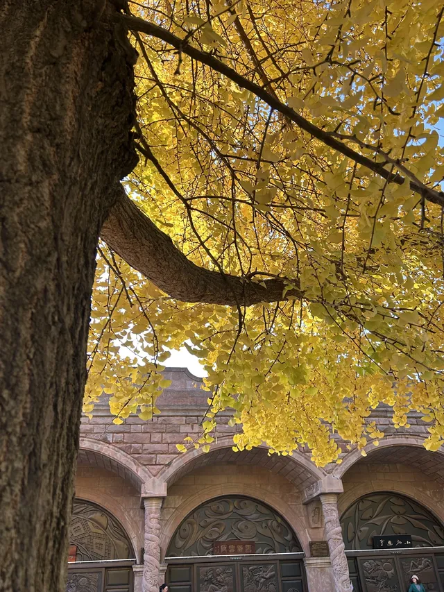 德陽｜石刻公園