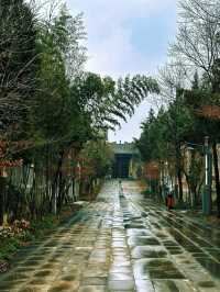 西安隱世中式庭院