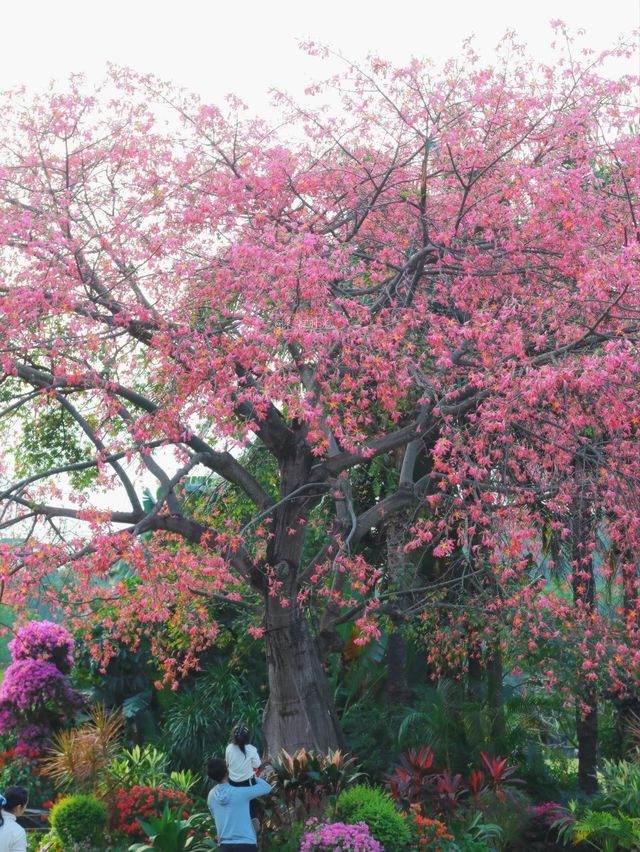 這裡風景獨好 這裡風景獨好