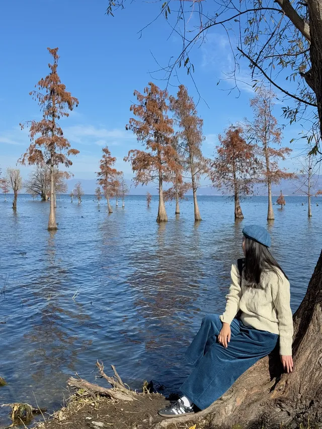 愛回收|來大理直接複製這條洱海一日遊路線! 愛回收|來大理直接複製這條洱海一日遊路線!