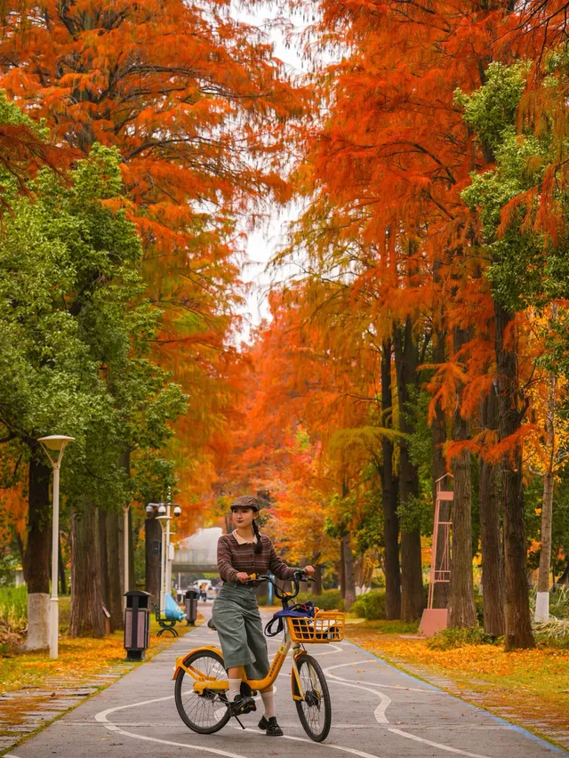 12.3的東湖殺瘋了!分享一條油畫感騎行路線 12.3的東湖殺瘋了!分享一條油畫感騎行路線