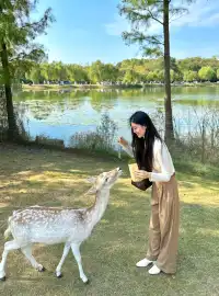 終於等到了12月的南京