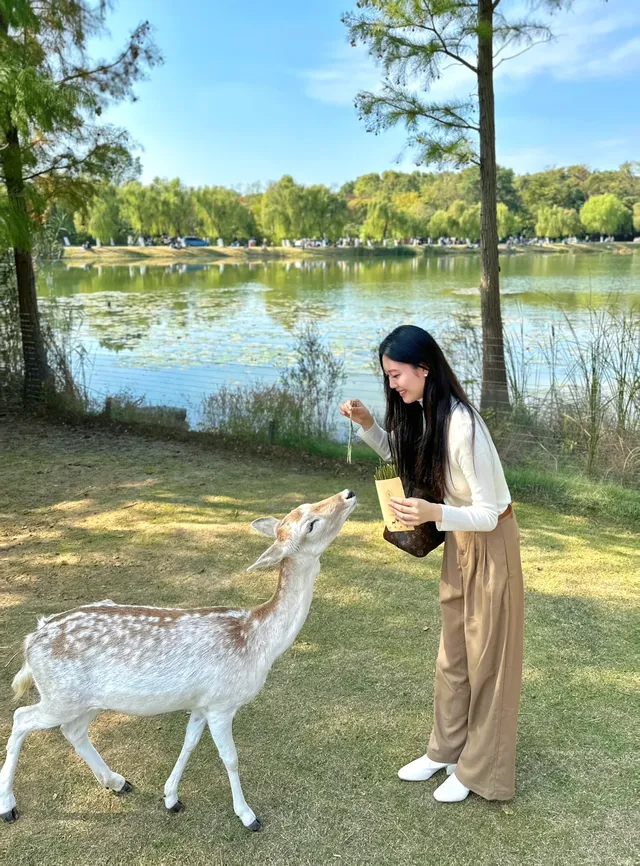 終於等到了12月的南京