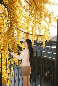 揚州蘇唱街|12月1日下午拍攝,這週得趕緊衝!