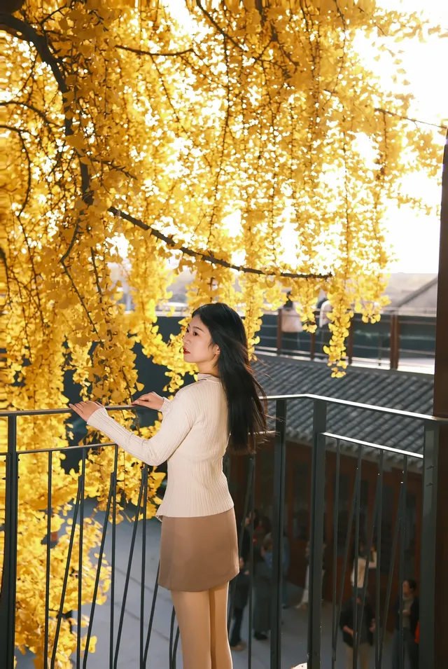 揚州蘇唱街|12月1日下午拍攝,這週得趕緊衝! 揚州蘇唱街|12月1日下午拍攝,這週得趕緊衝!