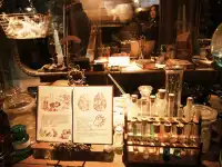 東迪海洋｜難忘！好玩！一日記錄