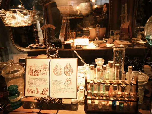 東迪海洋｜難忘！好玩！一日記錄