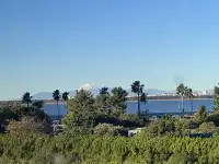 東迪海洋｜難忘！好玩！一日記錄