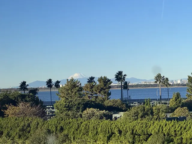 東迪海洋｜難忘！好玩！一日記錄