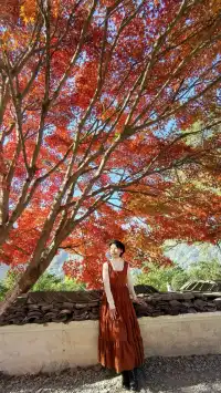 國家地理誠不我欺!婺源篁嶺曬秋絕了