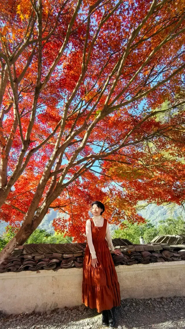 國家地理誠不我欺!婺源篁嶺曬秋絕了 國家地理誠不我欺!婺源篁嶺曬秋絕了