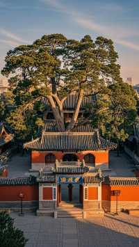 天水四天遊超全攻略