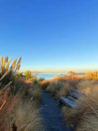 走進畫裡|滇池邊的樹與水與風都是自由的