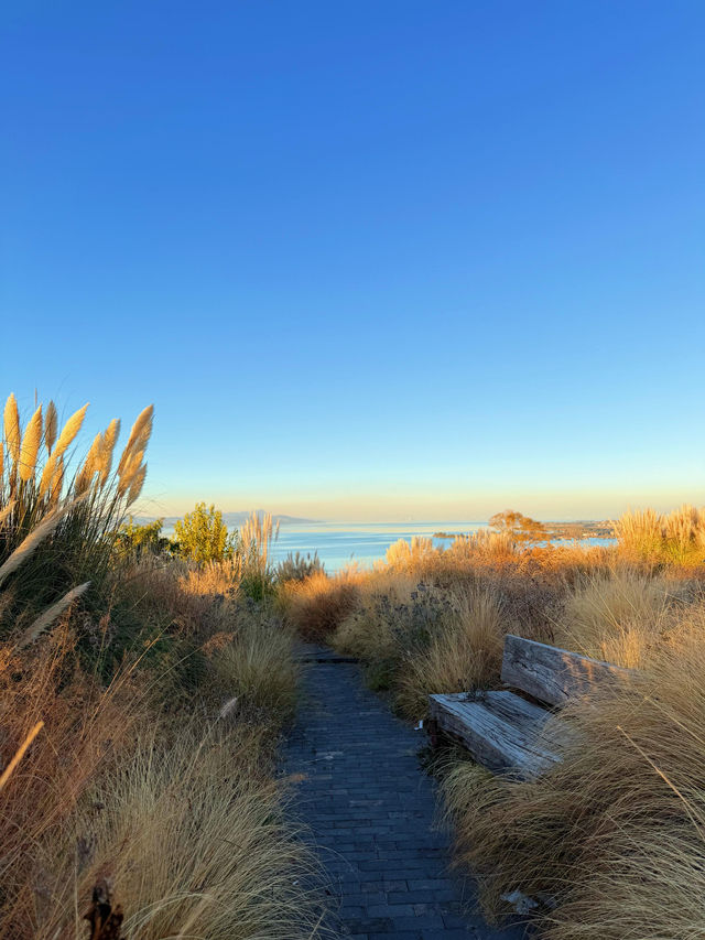 走進畫裡|滇池邊的樹與水與風都是自由的 走進畫裡|滇池邊的樹與水與風都是自由的