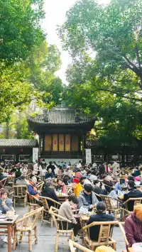 在成都茶舖坐了一下午,我卻莫名有想哭衝動