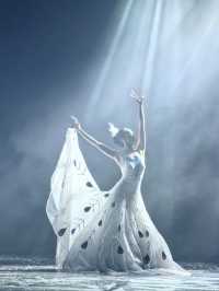 昆明必看《雲南映象》攻略 楊麗萍打造的民族歌舞盛宴