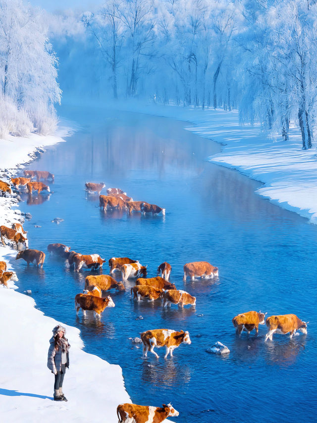 沒踩雷🫡第一次去阿爾山 直接照抄這份攻略 沒踩雷🫡第一次去阿爾山 直接照抄這份攻略