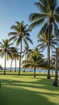 東海岸公園1天1夜旅遊攻略