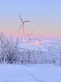 用18張Live打開呼倫貝爾的冬天!封神了!