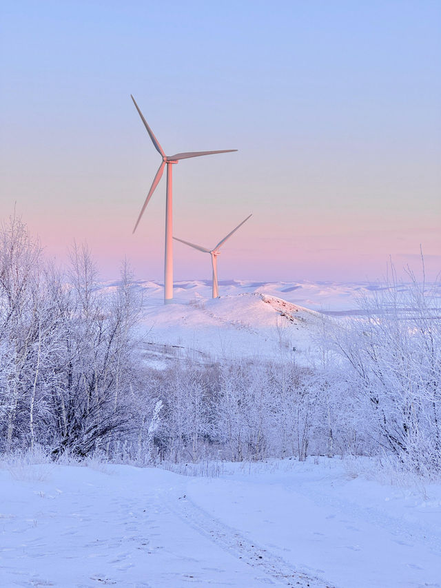 用18張Live打開呼倫貝爾的冬天!封神了! 用18張Live打開呼倫貝爾的冬天!封神了!