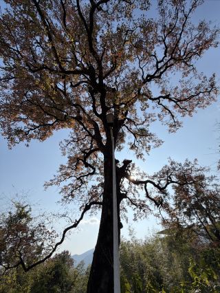 田園牧歌の詩画の中で