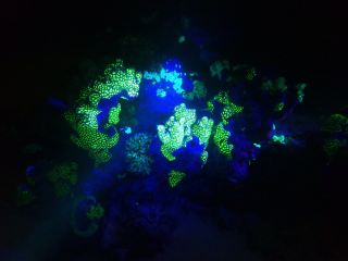 การพักผ่อนที่แสนสุขอย่างสมบูรณ์แบบที่ Baros Resort