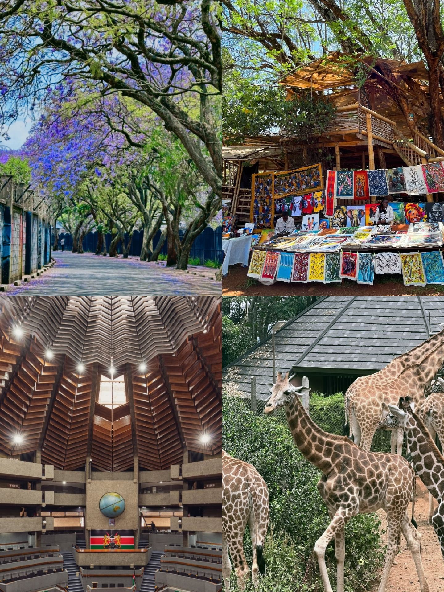 ทัวร์วันเดียวทุ่งหญ้าเมืองไนโรบี