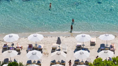 The Jelly Sea Everyone's Talking About — Sardinia, Italy — traveler post in Sardinia