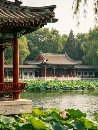 蓮池書院｜保定夏日荷塘古風秘境
