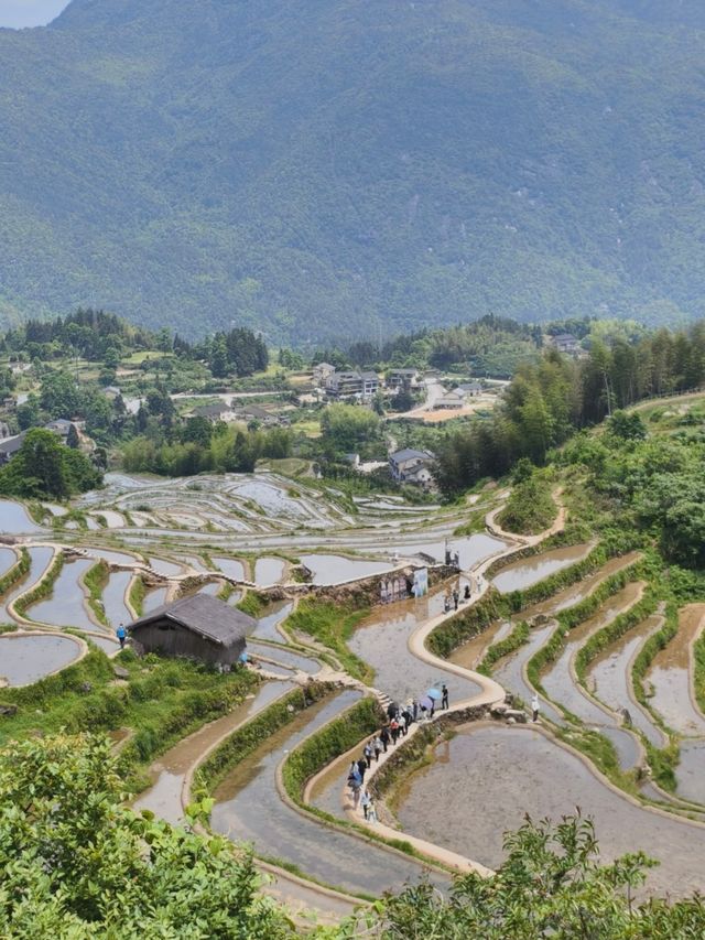 :被國家地理評為「中國最美梯田」!雲和梯田保姆級攻略|Trip.com 雲和