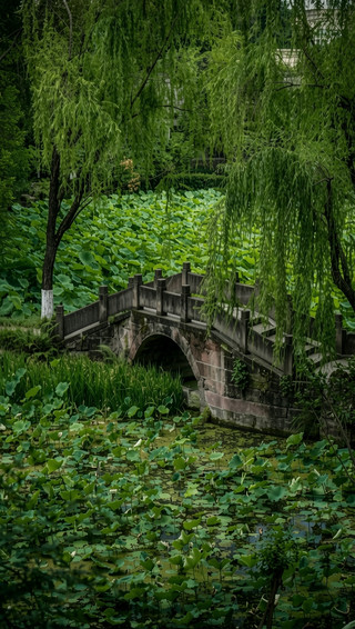  A local's secret spot for "ancient Shu culture + vibrant city life + healing slow travel"!